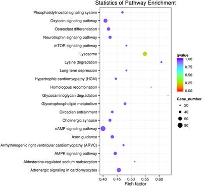 Aberrant Expressional Profiling of Small RNA by Cold Atmospheric Plasma Treatment in Human Chronic Myeloid Leukemia Cells